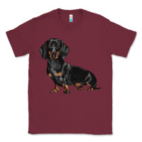 Burgundy Dachshund Dog Illustrations Classic Tee - LillyAllenDesigns