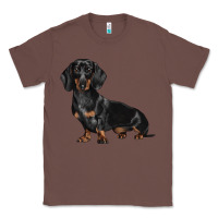 Chestnut Dachshund Dog Illustrations Classic Tee - LillyAllenDesigns