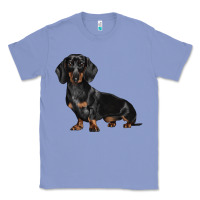Colony Blue Dachshund Dog Illustrations Classic Tee - LillyAllenDesigns