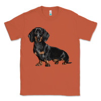 Copper Dachshund Dog Illustrations Classic Tee - LillyAllenDesigns