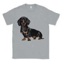 Heather Grey Dachshund Dog Illustrations Classic Tee - LillyAllenDesigns