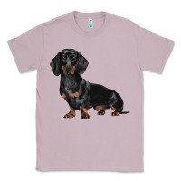 Lilac Dachshund Dog Illustrations Classic Tee - LillyAllenDesigns