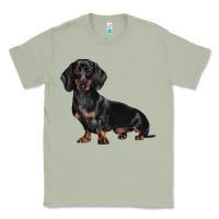 Matcha Dachshund Dog Illustrations Classic Tee - LillyAllenDesigns