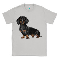 Moon Dust Dachshund Dog Illustrations Classic Tee - LillyAllenDesigns