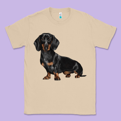 Dachshund Dog Illustrations Classic Tee Designed By Lillyallendesigns