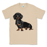 Mushroom Dachshund Dog Illustrations Classic Tee - LillyAllenDesigns