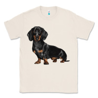 Natural Dachshund Dog Illustrations Classic Tee - LillyAllenDesigns