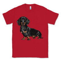 Red Dachshund Dog Illustrations Classic Tee - LillyAllenDesigns