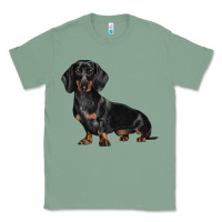 Sage Dachshund Dog Illustrations Classic Tee - LillyAllenDesigns