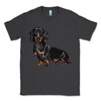 Smoke Dachshund Dog Illustrations Classic Tee - LillyAllenDesigns