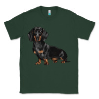 Sports Green Dachshund Dog Illustrations Classic Tee - LillyAllenDesigns