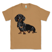 Toasted Coconut Dachshund Dog Illustrations Classic Tee - LillyAllenDesigns
