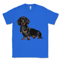 True Royal Dachshund Dog Illustrations Classic Tee - LillyAllenDesigns