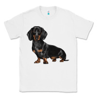 White Dachshund Dog Illustrations Classic Tee - LillyAllenDesigns