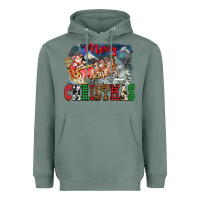 Sage Merry Christmas Santa Sleigh Heavyweight Hoodie - FaDigitalArtStudio