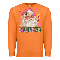 Carrot Pink Believe Santa Christmas Premium Sweatshirt - FaDigitalArtStudio