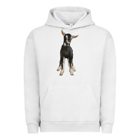 Pigment Lunar Rock Hand Drawn Baby Alpine Goat Urban Hoodie - LillyAllenDesigns