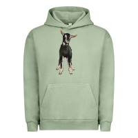 Pigment Oil Green Hand Drawn Baby Alpine Goat Urban Hoodie - LillyAllenDesigns