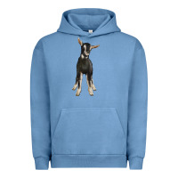 Pigment Pebble Blue Hand Drawn Baby Alpine Goat Urban Hoodie - LillyAllenDesigns