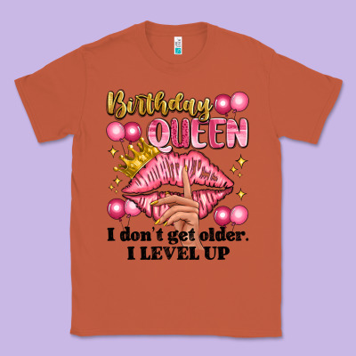 Birthday Queen I Dont Get Older I Level Up Classic Tee Designed By Artiststas