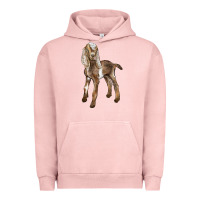 Pigment Salmon Baby Nubian Goat Urban Hoodie - LillyAllenDesigns