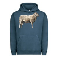 Katahdin Sheep Urban Hoodie | Teevron