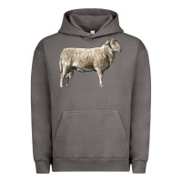 Pigment Tornado katahdin sheep Urban Hoodie - LillyAllenDesigns