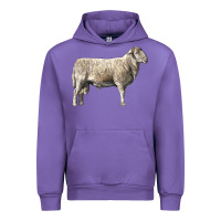 Tulip katahdin sheep Urban Hoodie - LillyAllenDesigns