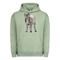 Reindeer Fawn Deer Urban Hoodie | Teevron
