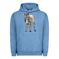 Pigment Pebble Blue reindeer fawn deer Urban Hoodie - LillyAllenDesigns