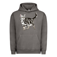 Pigment Tornado American Shorthair Cat Urban Hoodie - LillyAllenDesigns