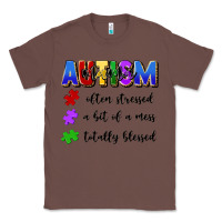 Chestnut i'm a hot mess always stressed and proudly autism Classic Tee - Artiststas