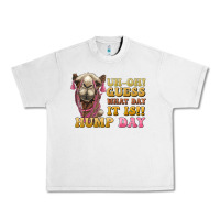 Lunar Rock guess what day it is hump day camel Urban Heavy Tee - BarkalooDesign