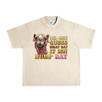 Sandshell guess what day it is hump day camel Urban Heavy Tee - BarkalooDesign