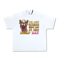 White guess what day it is hump day camel Urban Heavy Tee - BarkalooDesign