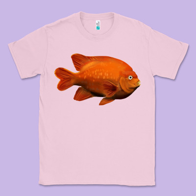California Garibaldi Fish Classic Tee Designed By Ranaportraitstore