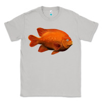 Moon Dust California Garibaldi Fish Classic Tee - RanaPortraitStore