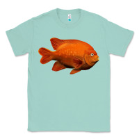 Seafoam California Garibaldi Fish Classic Tee - RanaPortraitStore
