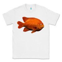 White California Garibaldi Fish Classic Tee - RanaPortraitStore