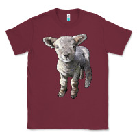 Burgundy southdown baby sheep Classic Tee - LillyAllenDesigns
