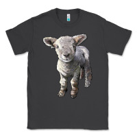 Smoke southdown baby sheep Classic Tee - LillyAllenDesigns