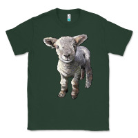 Sports Green southdown baby sheep Classic Tee - LillyAllenDesigns