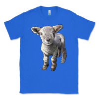 True Royal southdown baby sheep Classic Tee - LillyAllenDesigns
