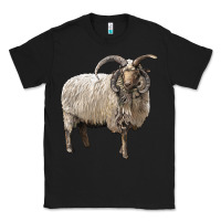 Black navajo churro sheep Classic Tee - LillyAllenDesigns