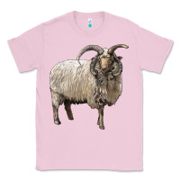 Bubblegum Pink navajo churro sheep Classic Tee - LillyAllenDesigns