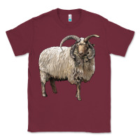 Burgundy navajo churro sheep Classic Tee - LillyAllenDesigns