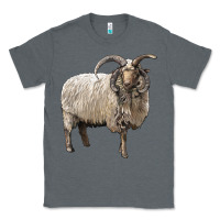 Charcoal Heather navajo churro sheep Classic Tee - LillyAllenDesigns
