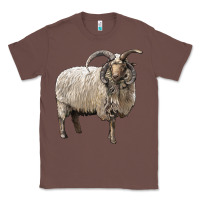 Chestnut navajo churro sheep Classic Tee - LillyAllenDesigns