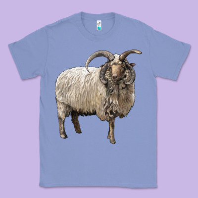 Navajo Churro Sheep Classic Tee Designed By Lillyallendesigns
