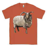 Copper navajo churro sheep Classic Tee - LillyAllenDesigns